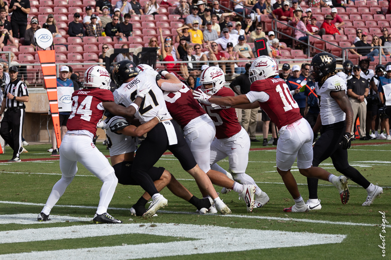 stanford football 2024